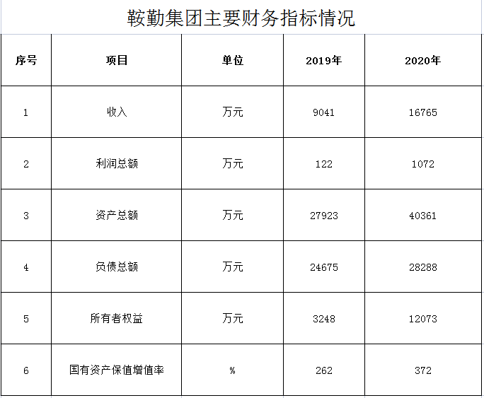 恒行娱乐集团2019年度-2020年度财务指标情况